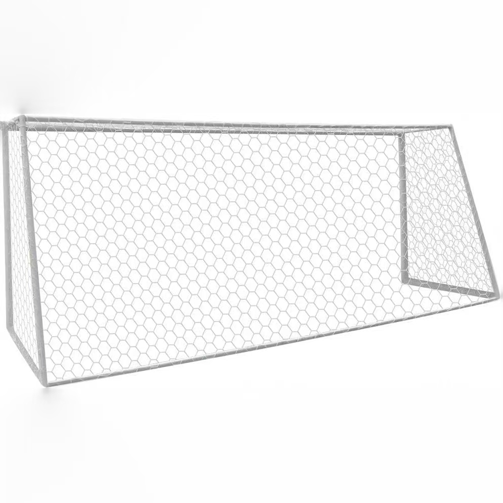 Outdoor Soccer Goal